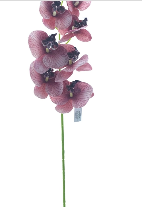 Haste Orquidea Phalaenopsis X9 97cm 40118vh Bela Flor