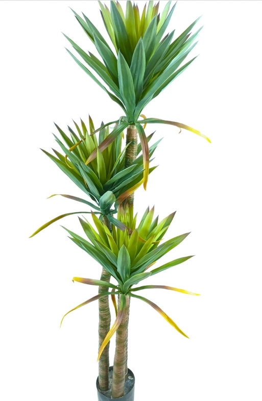 Arvore Yucca Pote X2 130cm 40131 Bela Flor