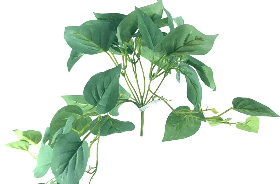 Folhagem Giboia X43 30cm 40327 Bela Flor