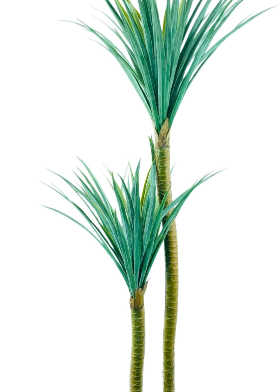 Arvore Dracena Pote X2 150cm 40357 Bela Flor
