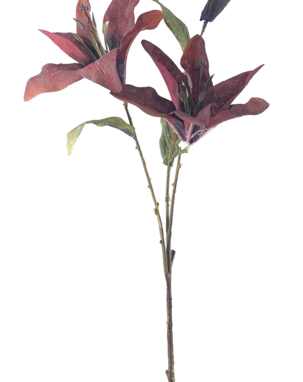 Haste Lirio Outonado X3 52cm 40414vm Bela Flor