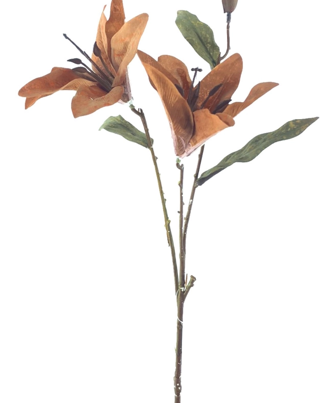 Haste Lirio Outonado X3 52cm 40414sl Bela Flor