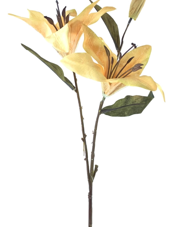 Haste Lirio Outonado X3 52cm 40414br Bela Flor