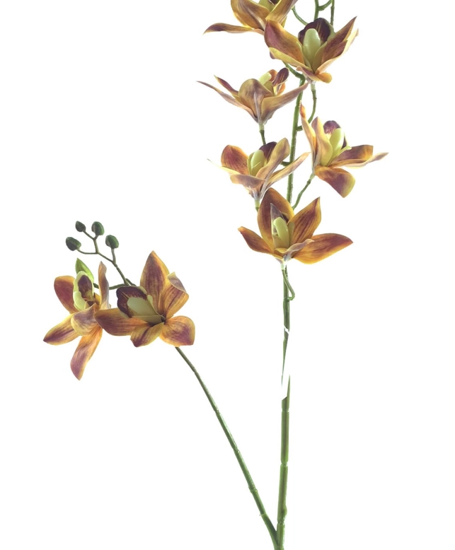 Haste Orquidea Cymbidium X2 85cm 40229lj Bela Flor
