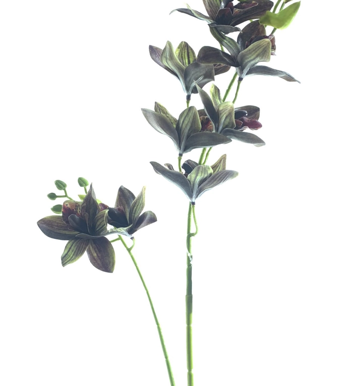 Haste Orquidea Cymbidium X2 85cm 40229vd Bela Flor