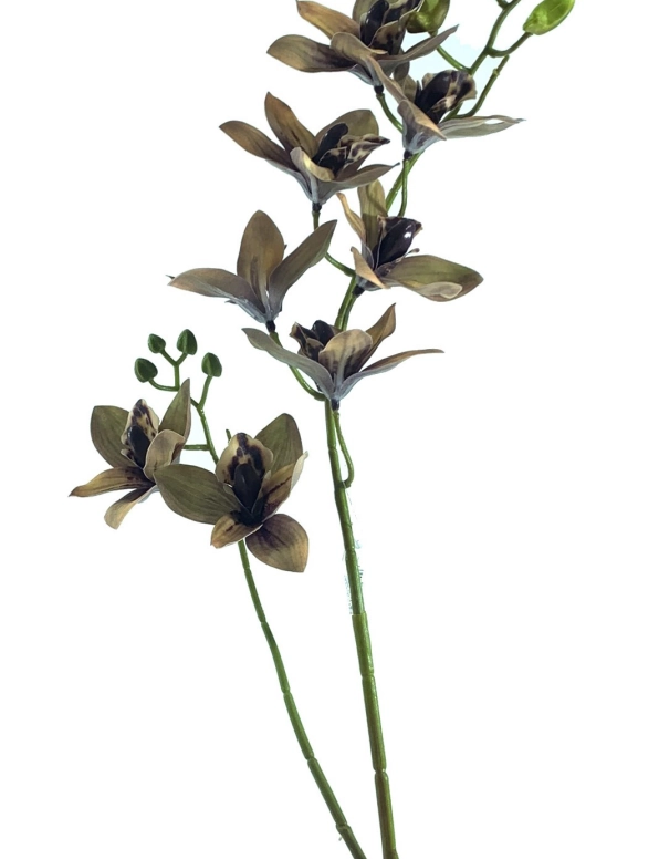 Haste Orquidea Cymbidium X2 85cm 40229cf Bela Flor