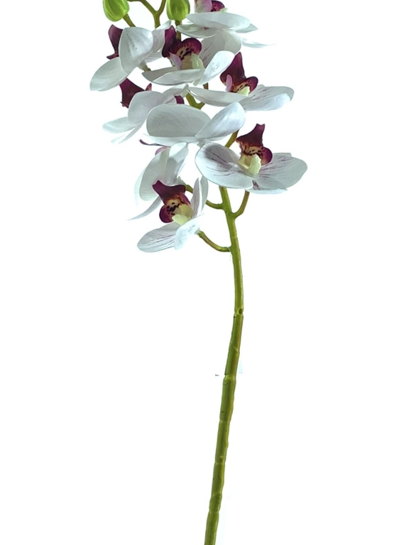 Haste Orquidea Phalaenopsis X9 64cm 40232br Bela Flor