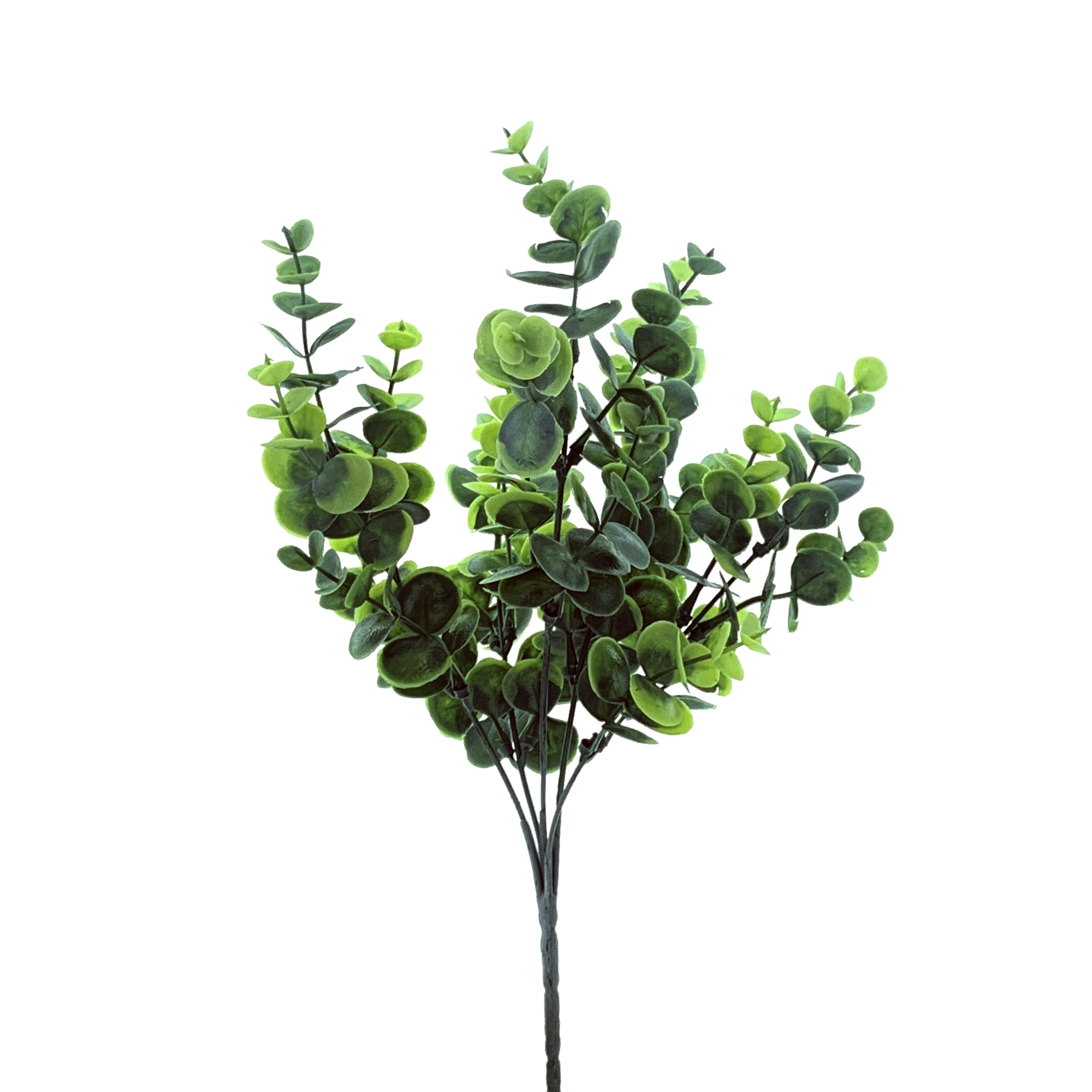 Buque Eucalipto X5 30cm 40503 Bela Flor