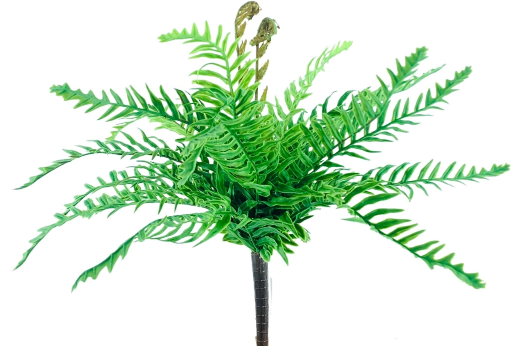 Buque Samambaia X21 32cm 40568vd Bela Flor