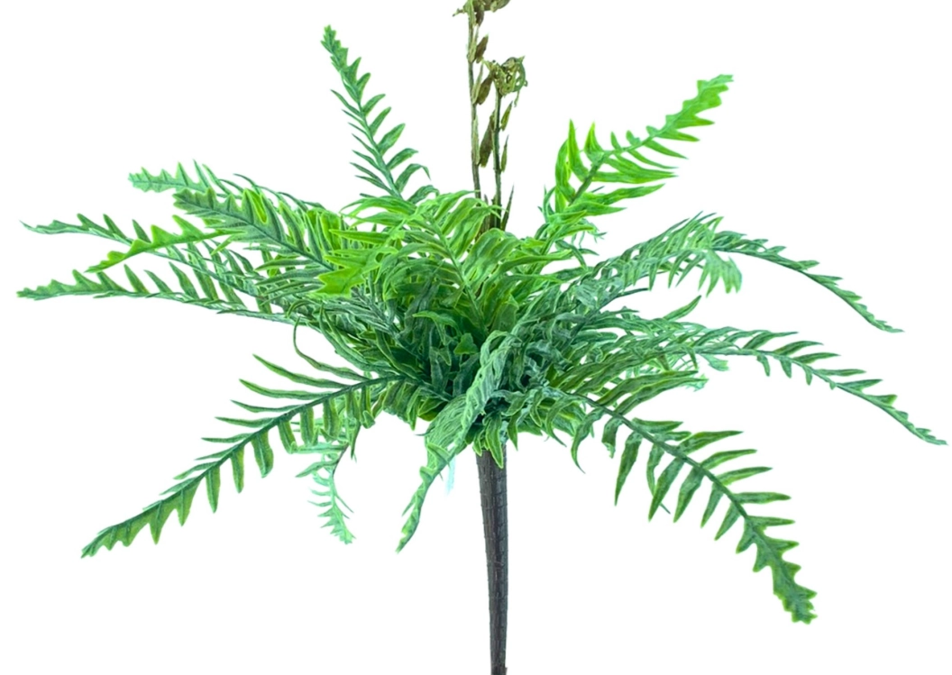 Buque Samambaia X21 32cm 40568vdc Bela Flor