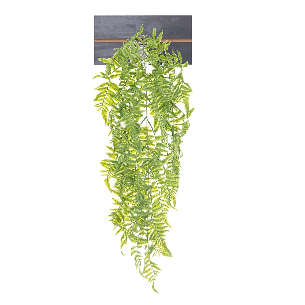 Pendente Samambaia X43 80cm 40575vd Bela Flor