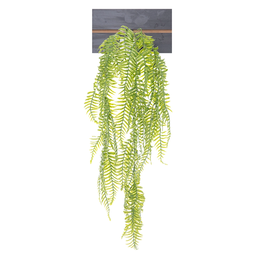 Pendente Samambaia X43 80cm 40576vd Bela Flor
