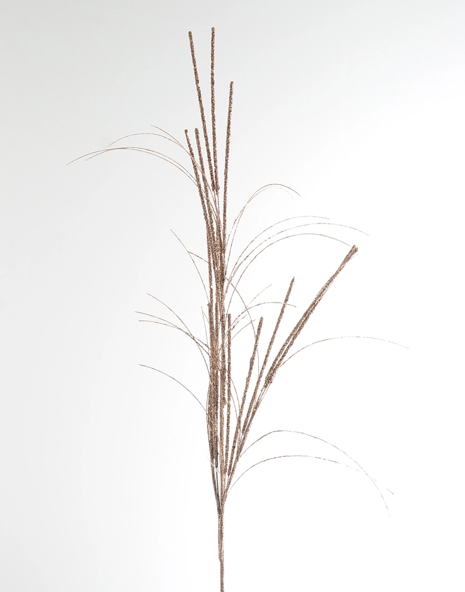 Haste Ramos Luz Champagner 75cm Bf7405ch Bela Flor