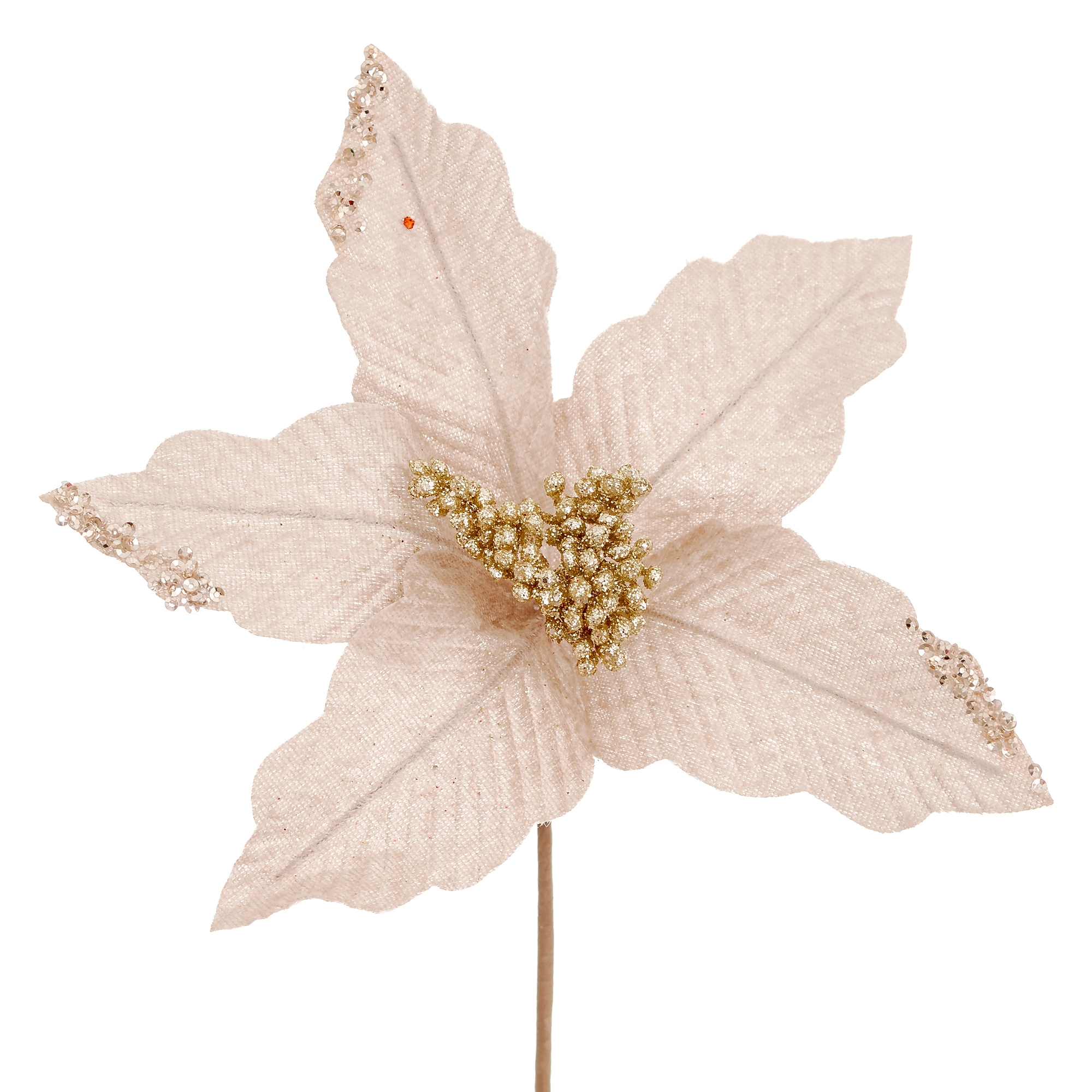 Flor Natal Pontas Brilhante Champagner 25cm 90286ch Bela Flor