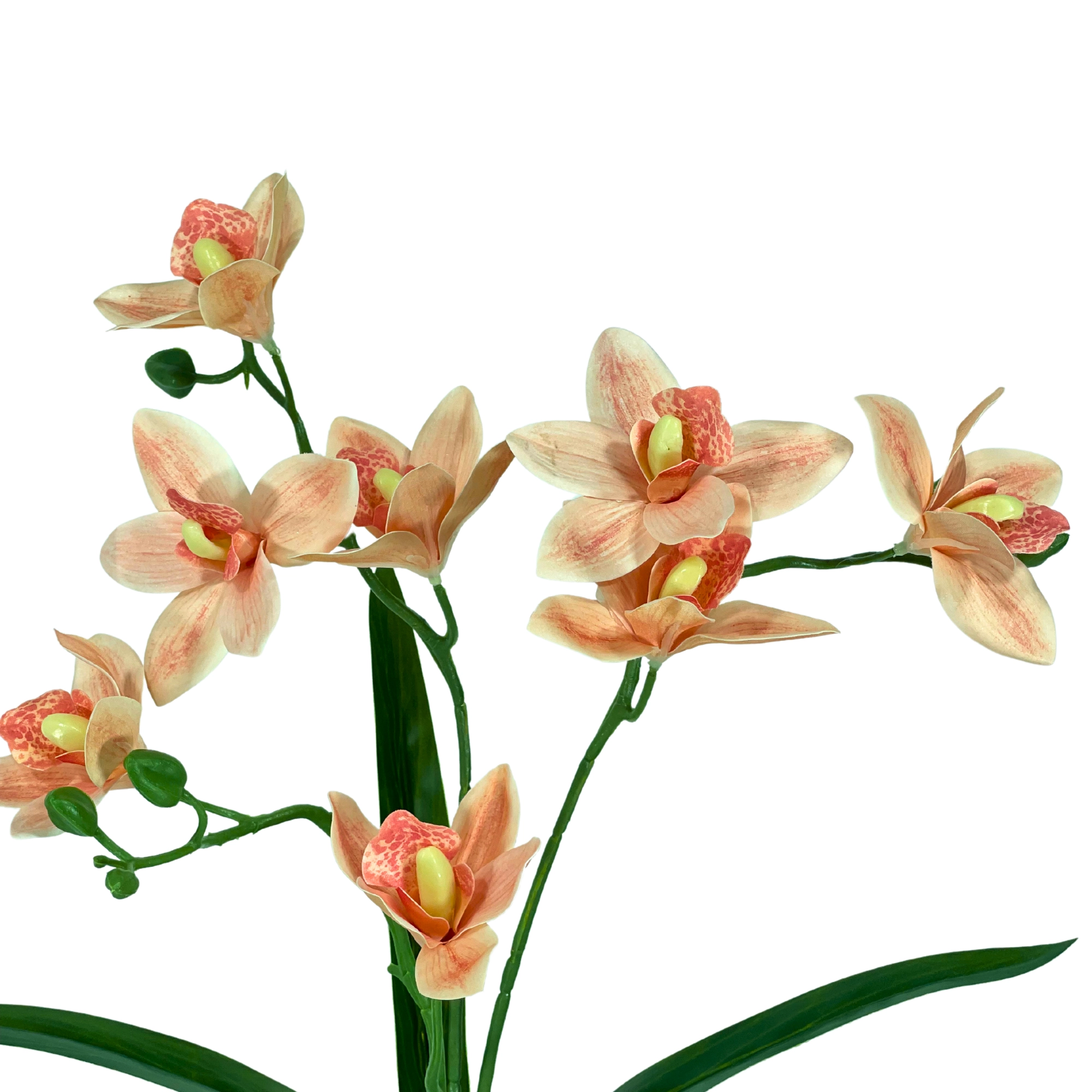 Buque Orquidea Cymbidium X3 Salmao 45cm 41806sl Bela Flor