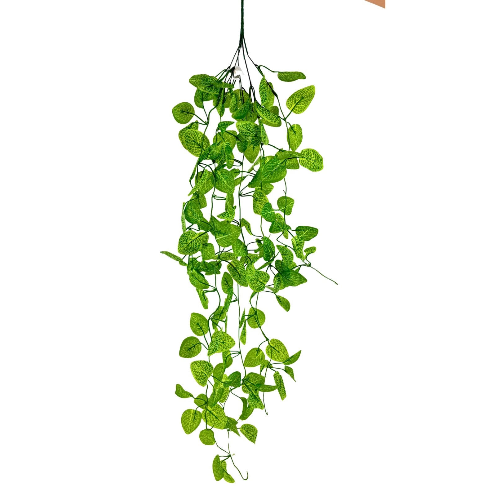Pendente Fitonia 158 Folhas 110cm 41909 Bela Flor