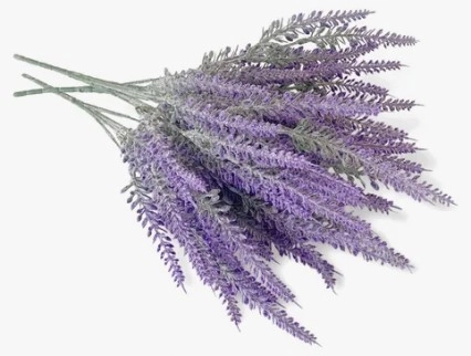 Buque Lavandinha Roxo 35cm X5 Bela Flor