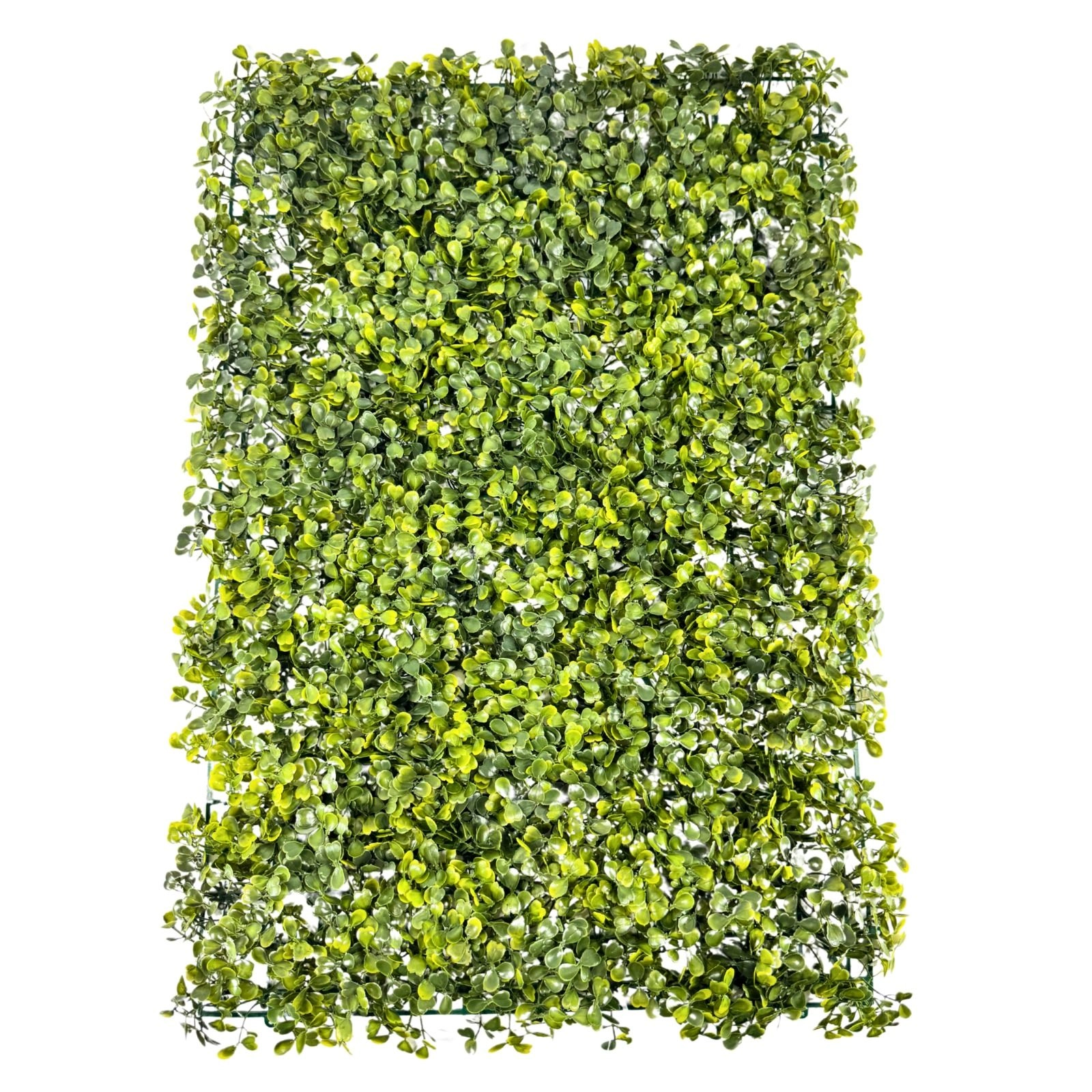 Qd Verde Trevo 40x60cm C308 Cabecas Branco