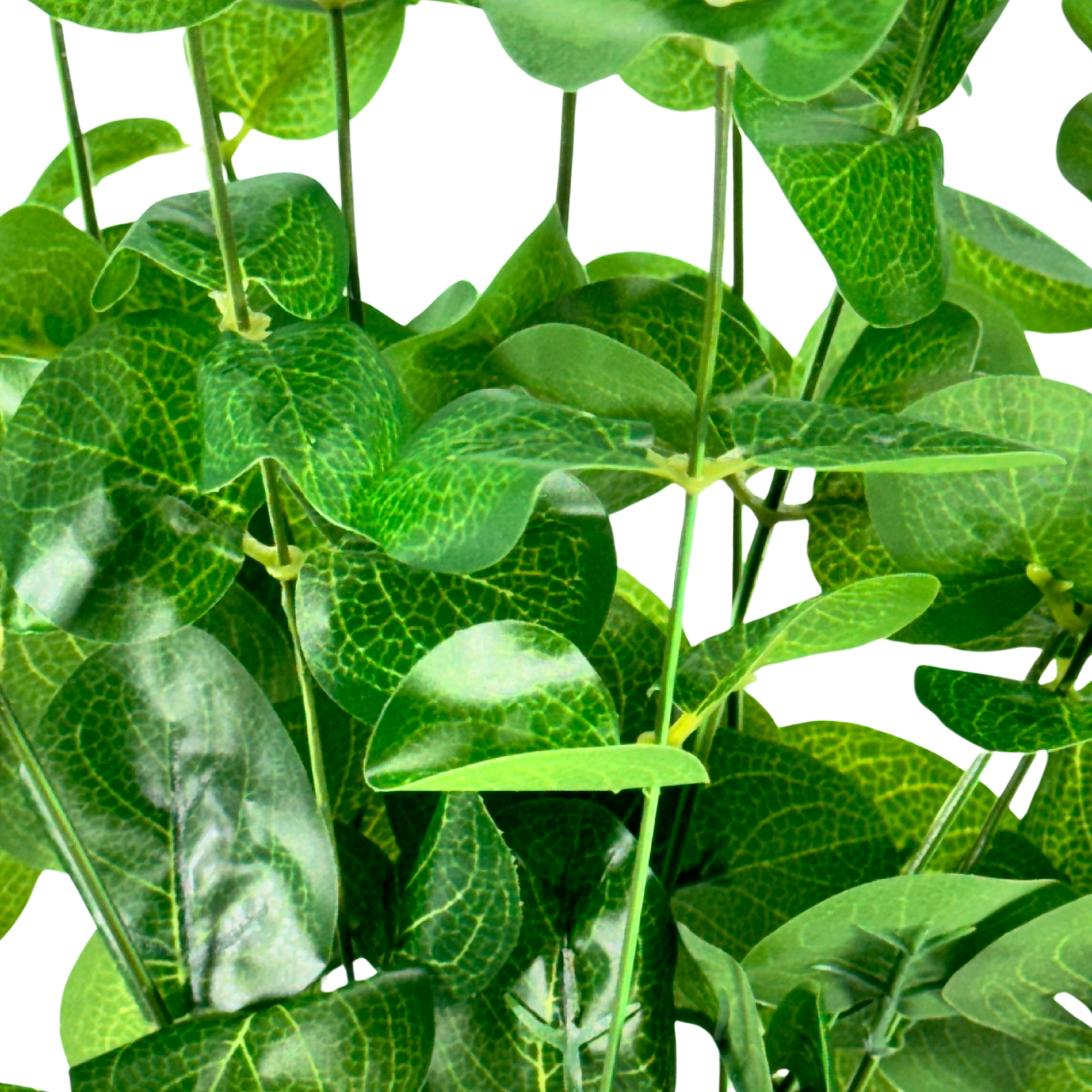 Buque Folha Eucalipto X4 Verde 30cm 42900vd Bela Flor