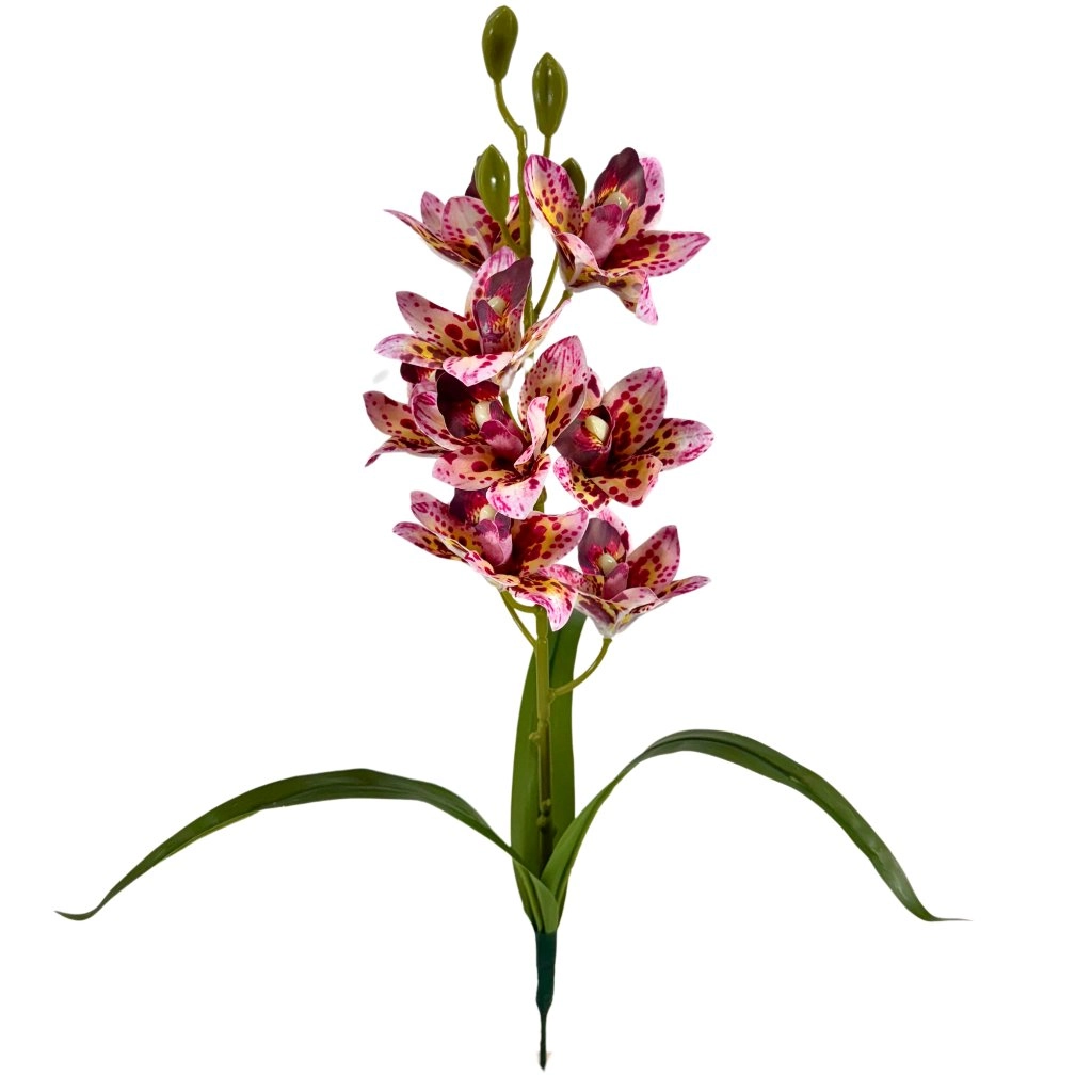 Buque Orquidea Cymbidium Rosa Pink 9 Flores 2x 48cm 43055rspk Bela Flor