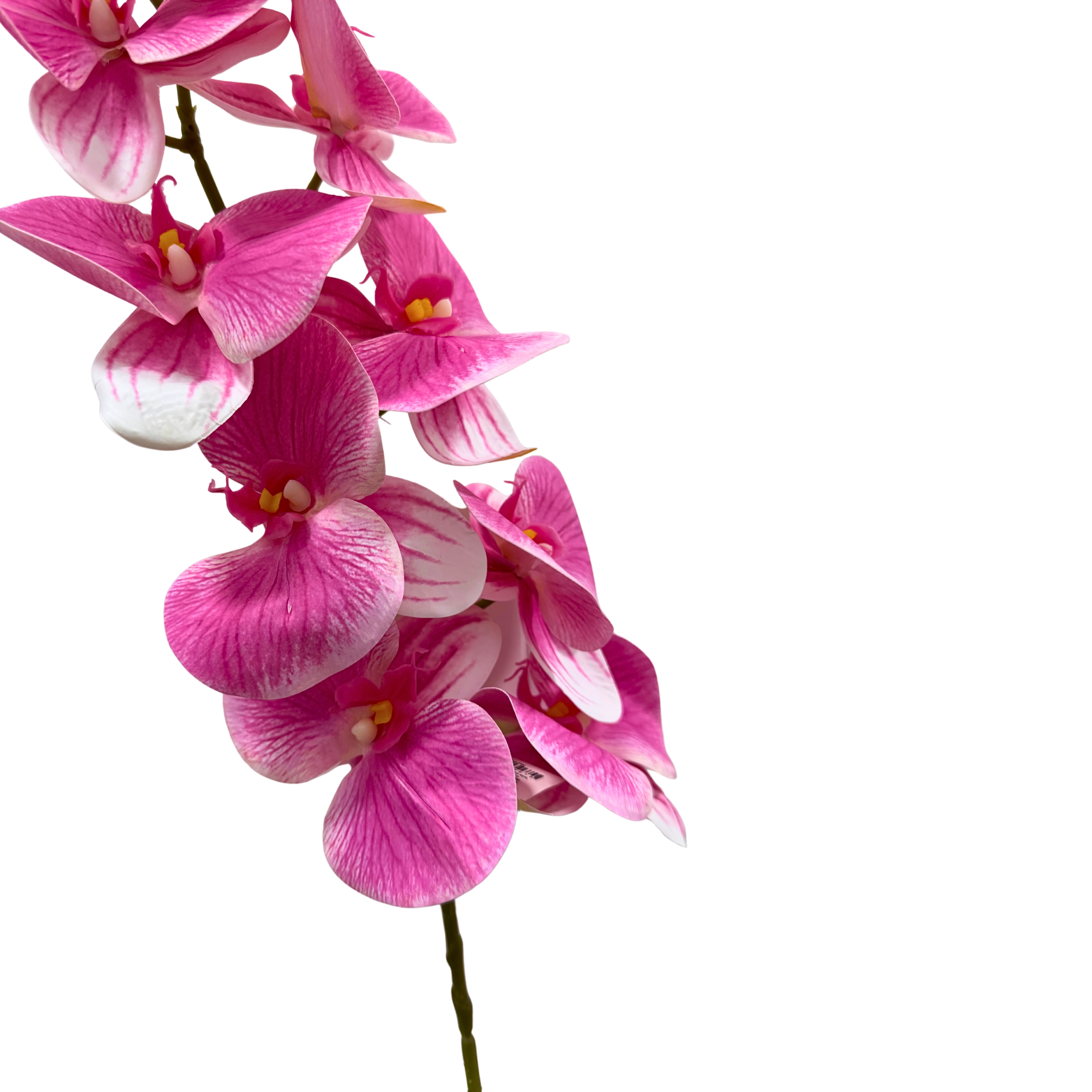 Haste Orquidea X9 Pink 90cm 43536pk Bela Flor