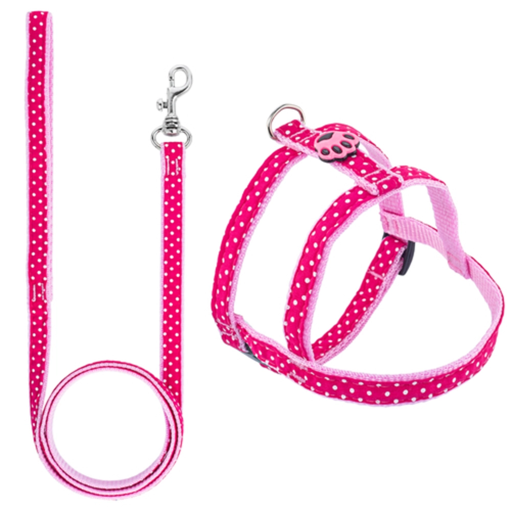 Conjunto Guia Peitoral Comum N.2
