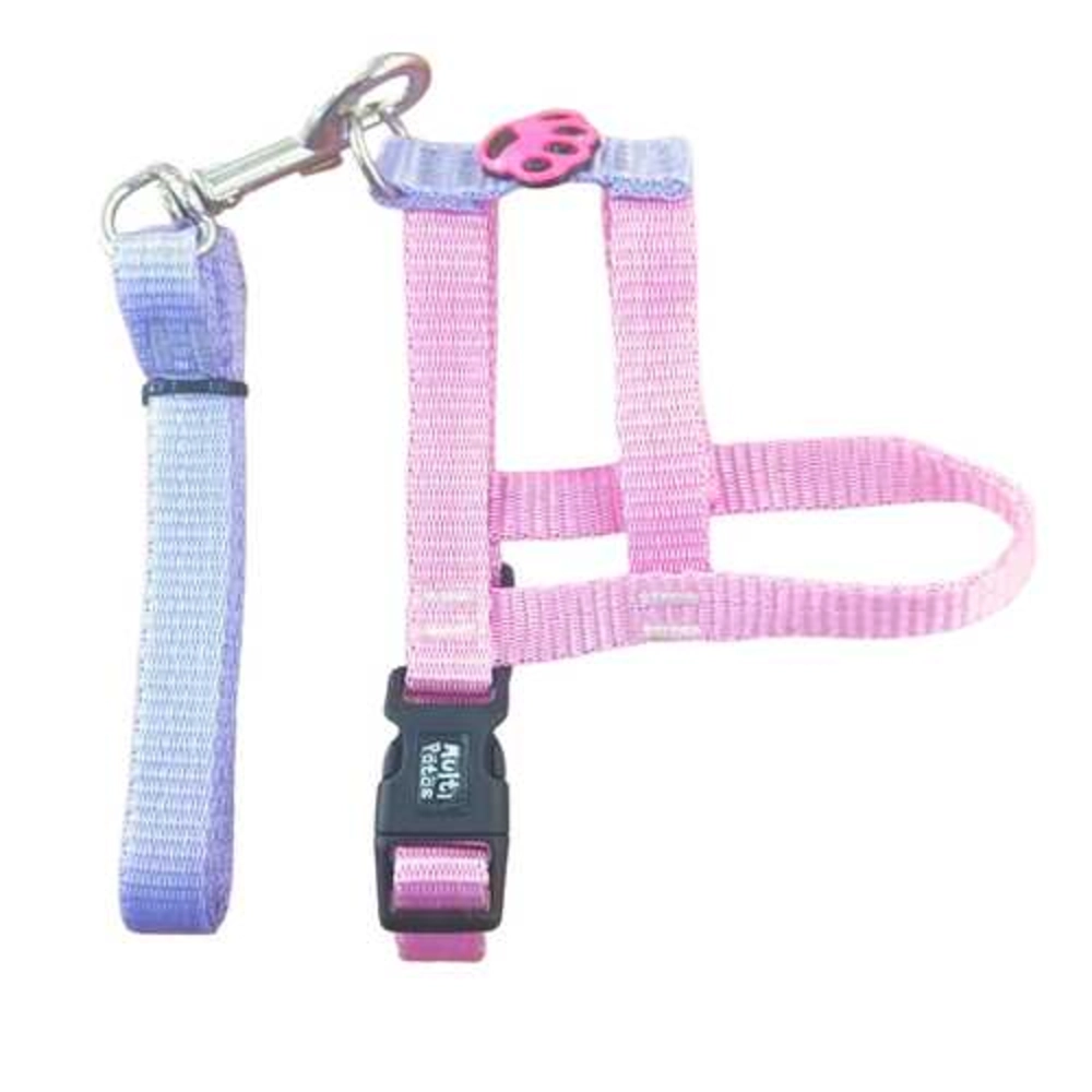 Conj Guia Peit Comum Rosa N.4 279778