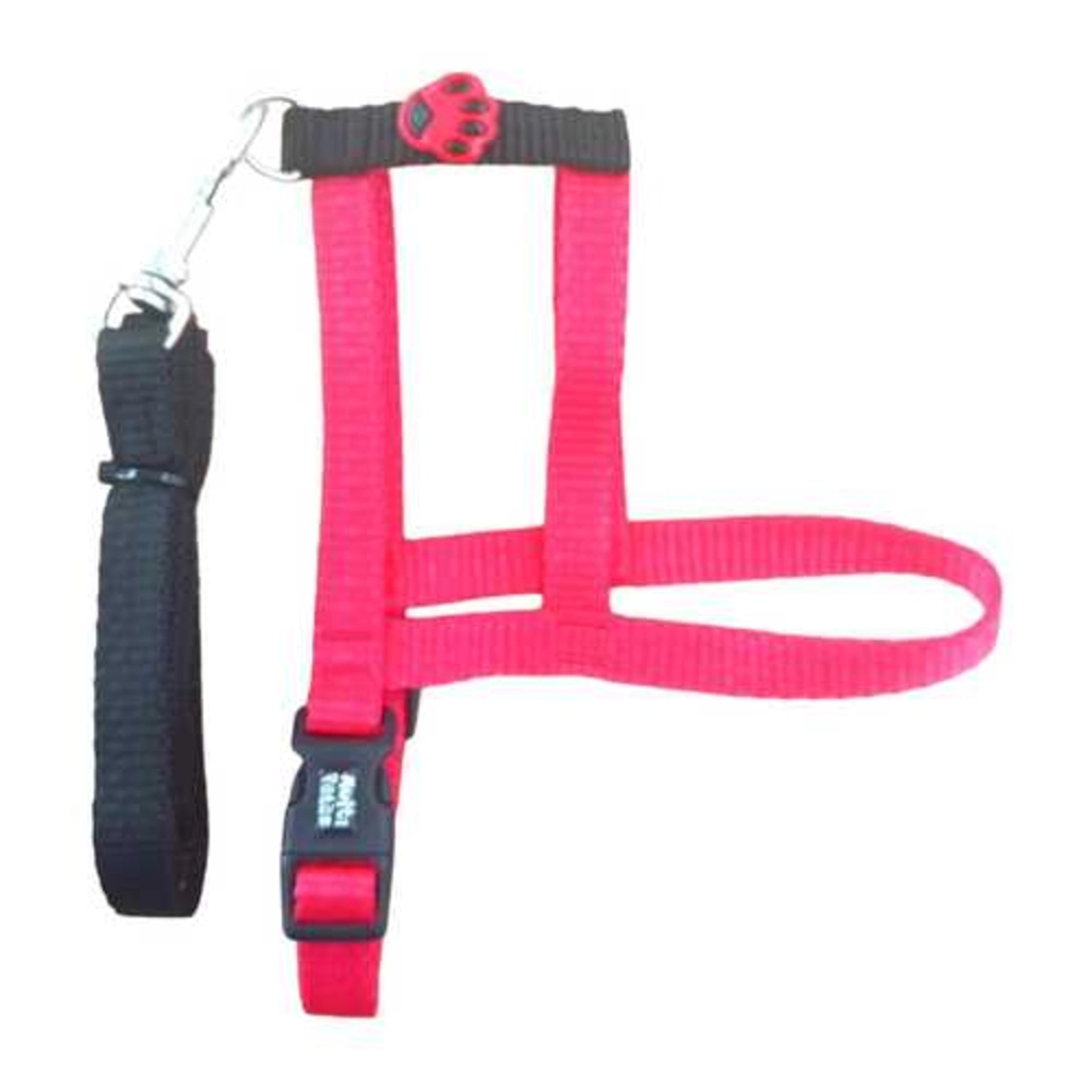 Conj Guia Peit Comum Vermelho N.4 279782