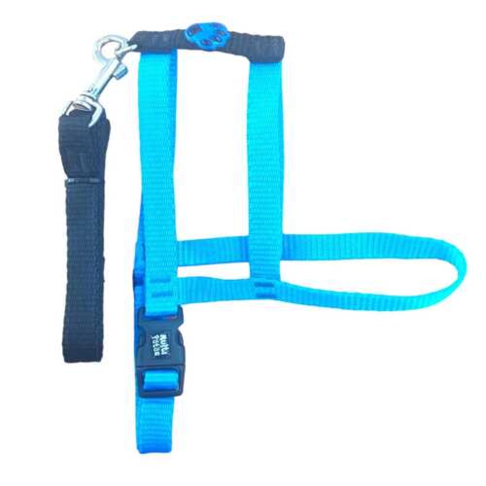 Conj Guia Peit Comum Azul N.2279784
