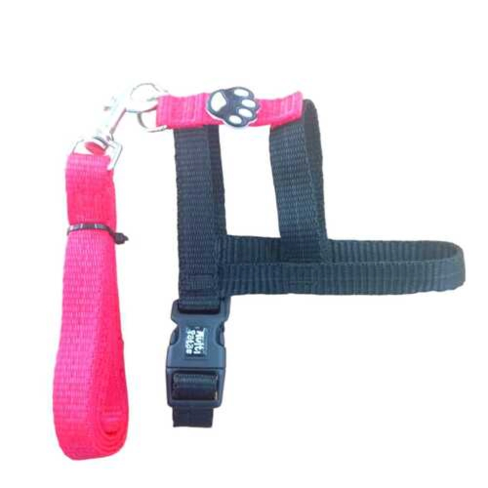 Conj Guia Peit Comum Preto N.2279788