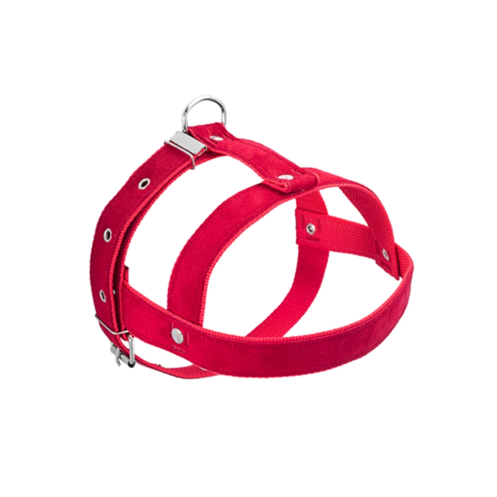 Peitoal Comum .30 Vermelho N.5 279798