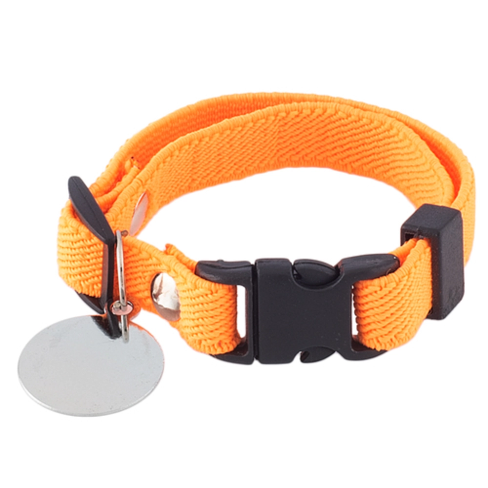 Coleira Gato Elastico Neon C/ Placa Latanja U279643