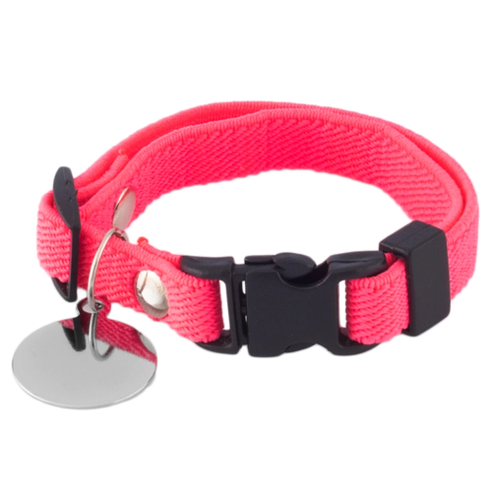 Coleira Gato Elastico Neon C/ Placa Rosa U279644