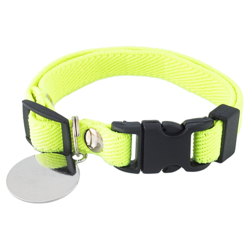 Coleira Gato Elastico Neon C/ Placa Verde U279645