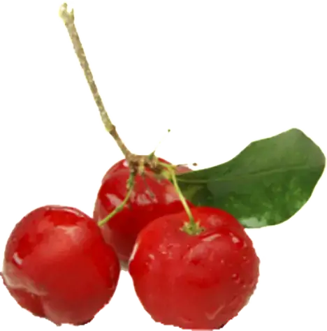 Acerola
