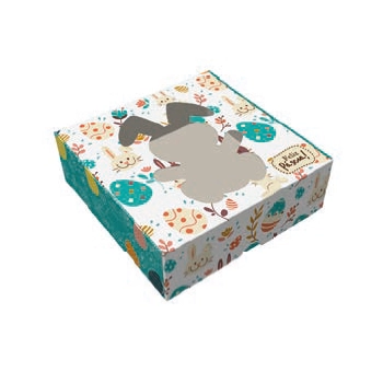 Cx Pratice Visor 1un Coelh