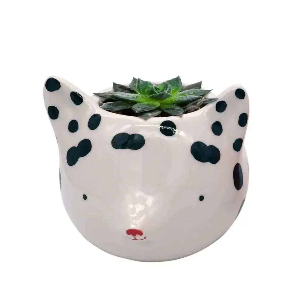 Jdm Vaso Ceramica 40102 Fox Bc/pta Dots