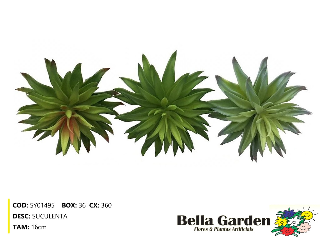 Suculenta Sy01495g Bella Flor