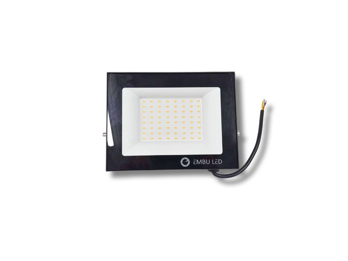 Refletor Led 100w Rgb Slim C/ Controle Remoto Ip67 Embu Led