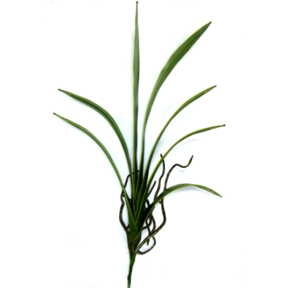 Folha Orquidea Fino X7 54cm L111 04 Winmax