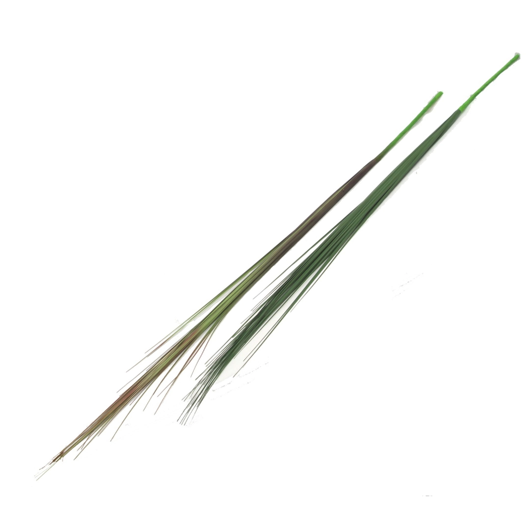Galho Capim 1.38cm L112 16 Winmax