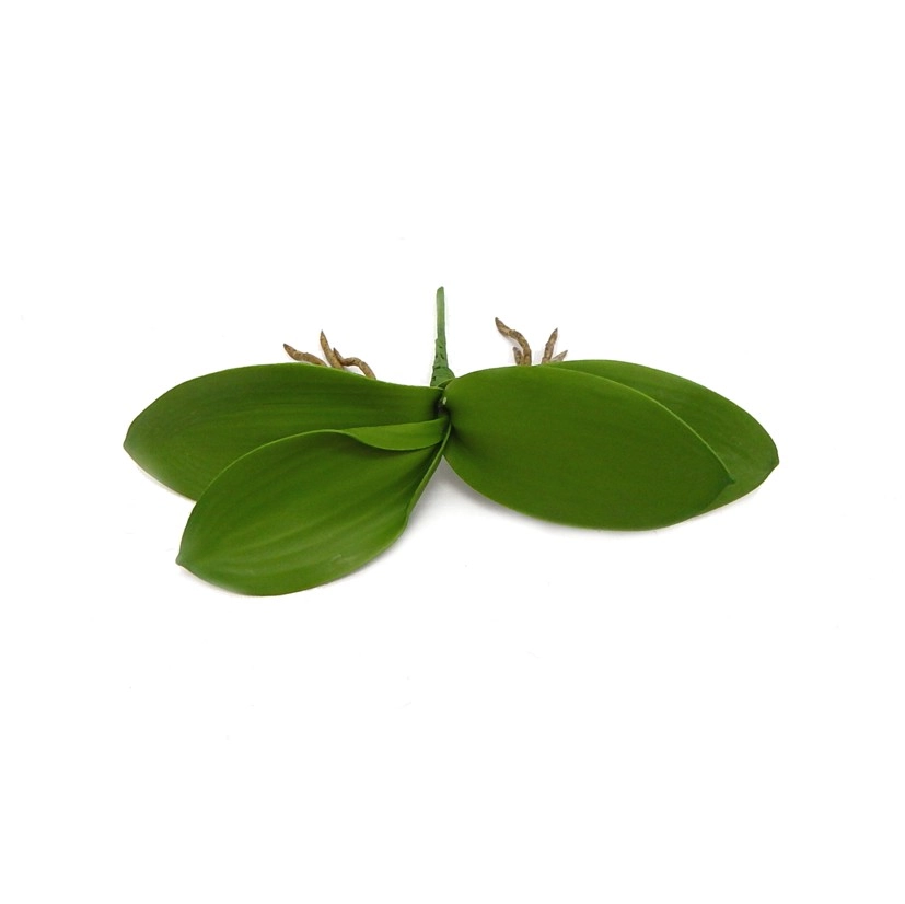 Folha De Orquidea X4 24cm L111 50 Winmax