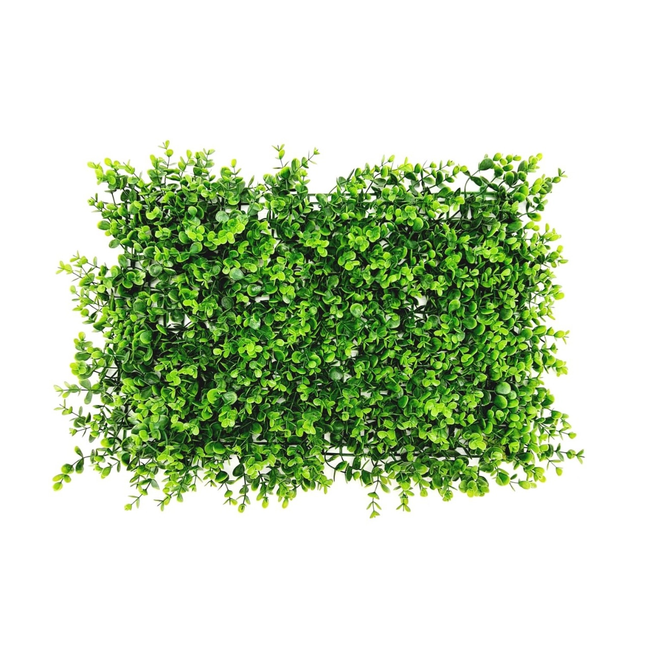 Placa De Eucalipto Verde 57x39cm W508 24 Winmax