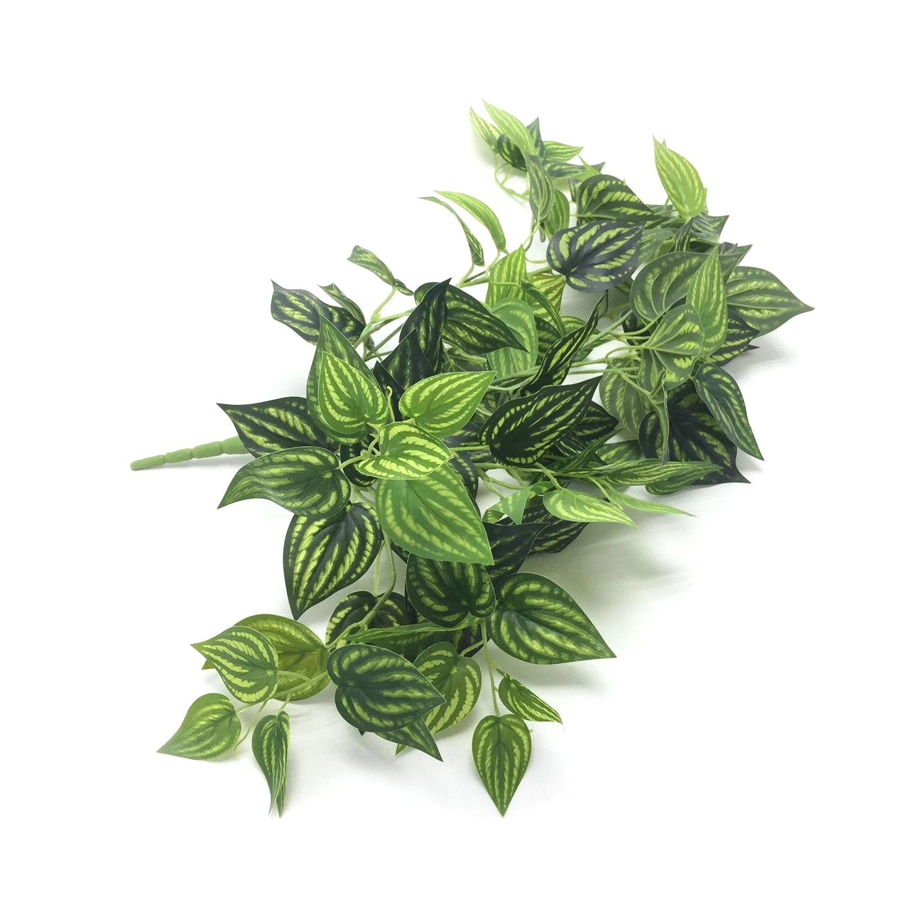Pendente Peperomia 61cm W507 42 Winmax
