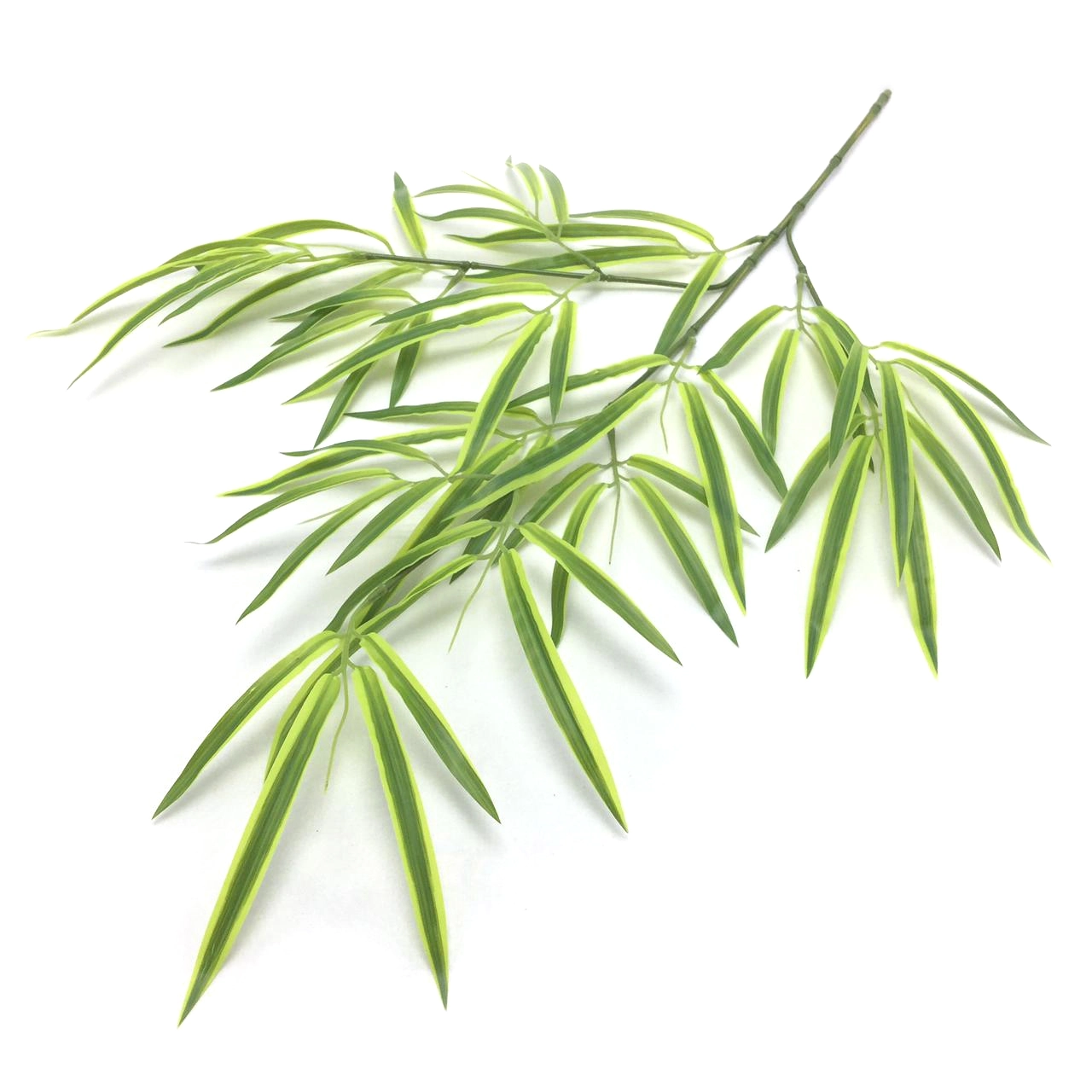 Galho Bambu 60cm 00034266 W507 46 Winmax