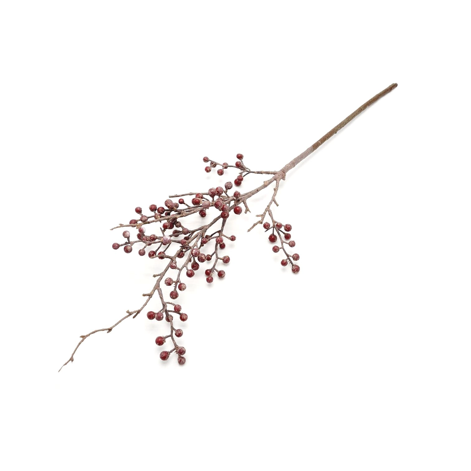 Galho Paulonia 60cm W518 19mr Winmax