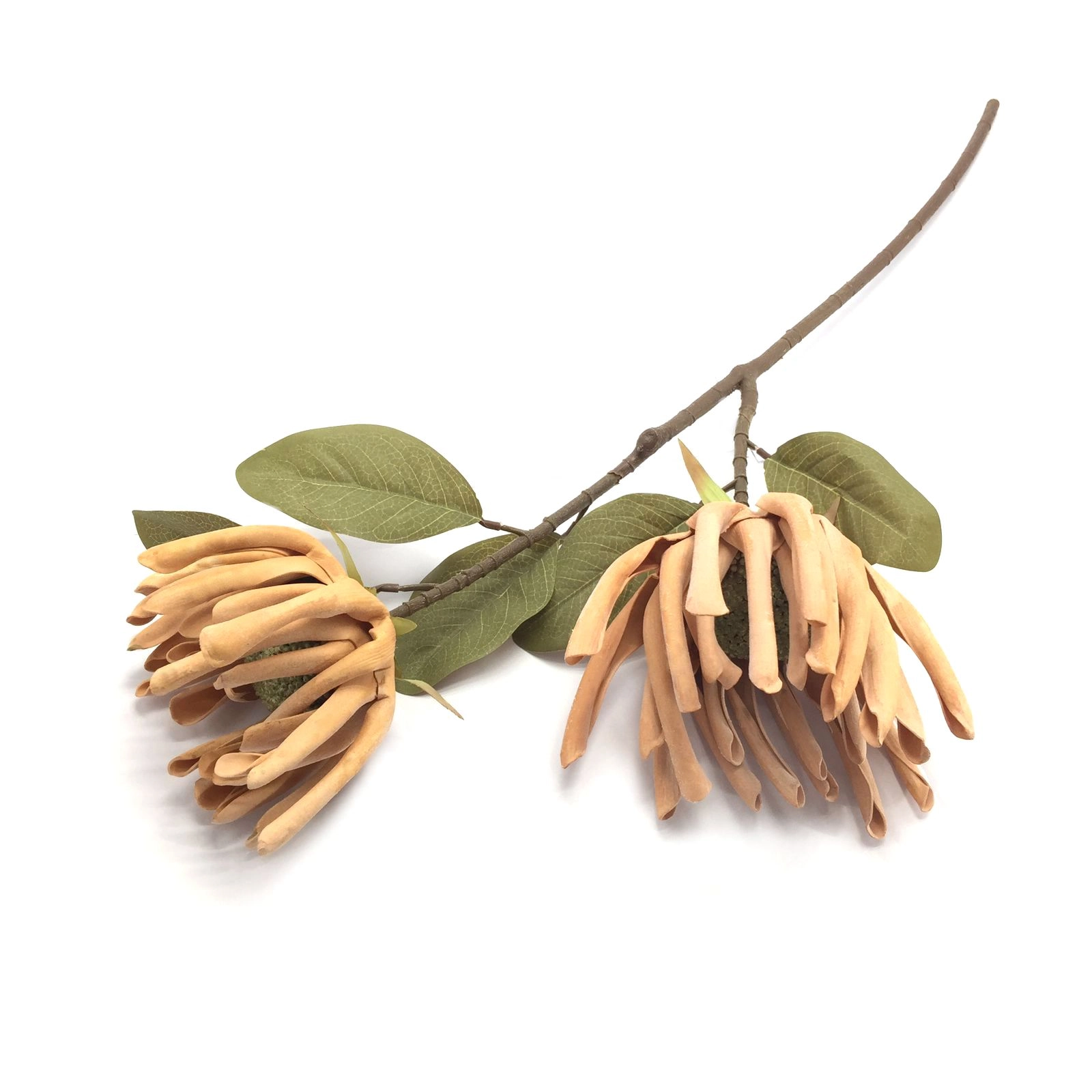 Galho Flor Pata Canguru X2 89cm W298 173lj Winmax