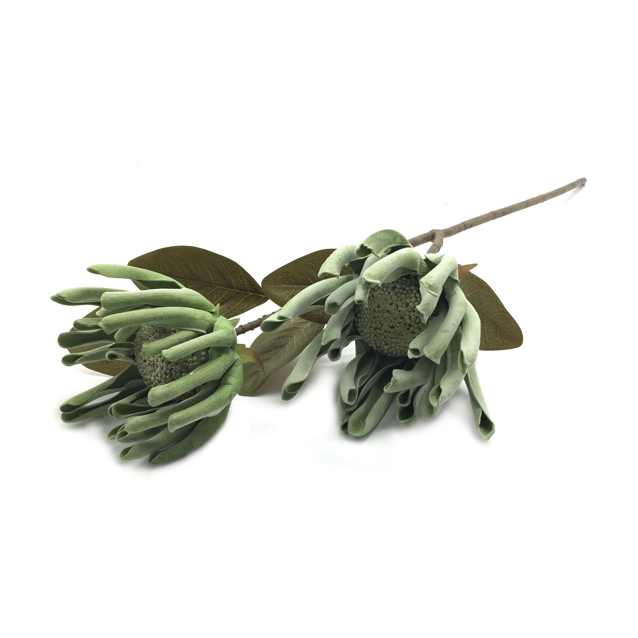 Galho Flor Pata Canguru X2 89cm W298 173vd Winmax