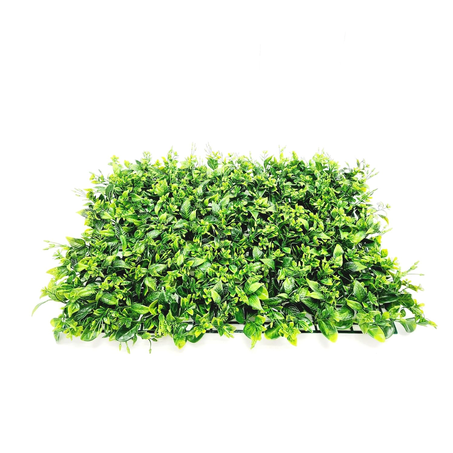 Placa Grama Giboia 40x60cm 00042560 W418 61 Winmax