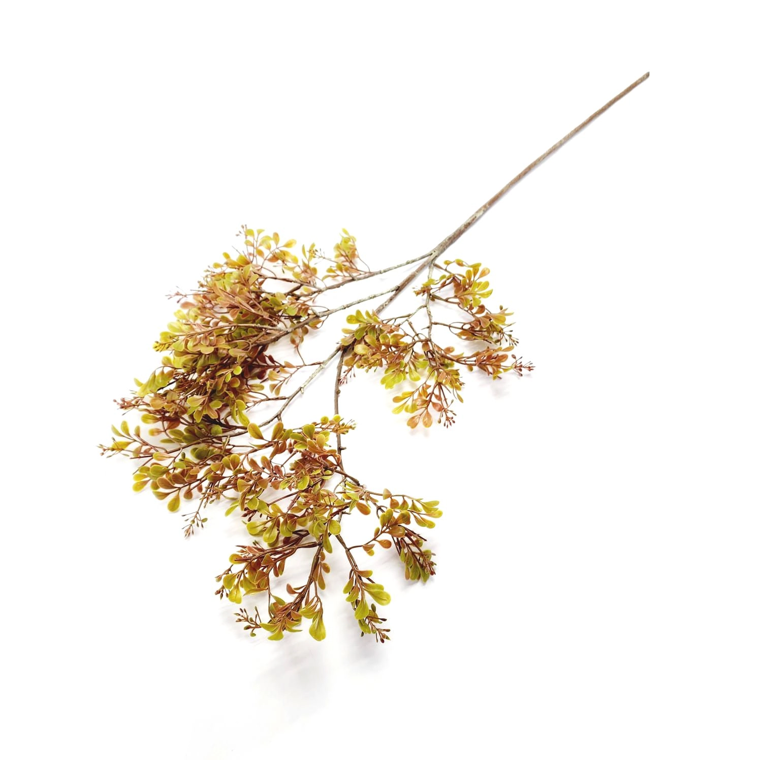 Galho Berberis X5 82cm W517 02 Winmax